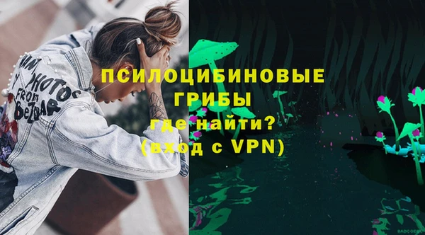 дживик Баксан
