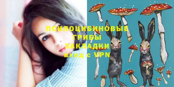 дживик Баксан