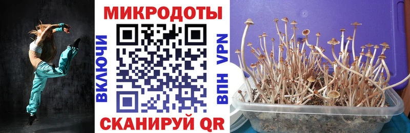 купить   Корсаков  Галлюциногенные грибы прущие грибы 